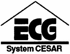 ECG System CESAR