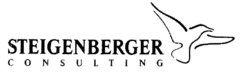 STEIGENBERGER CONSULTING