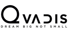 QVADIS DREAM BIG NOT SMALL