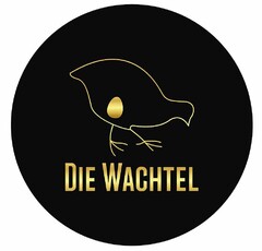 DIE WACHTEL