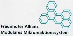 Fraunhofer Allianz Modulares Mikroreaktionssystem