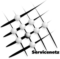 Servicenetz