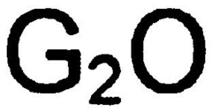 G2O