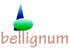 bellignum