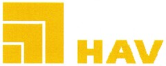 HAV