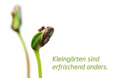 Kleingärten sind erfrischend anders.