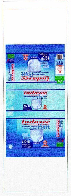 indasec Pant