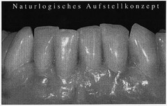 Naturlogisches Aufstellkonzept