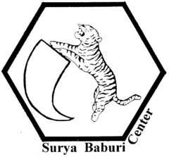 Surya Baburi Center