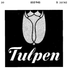 Tulpen