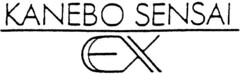 KANEBO SENSAI EX