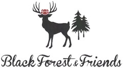 Black Forest & Friends