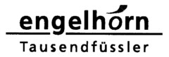 engelhorn Tausendfüssler