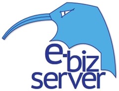 e-biz server