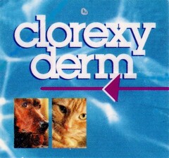 clorexy derm