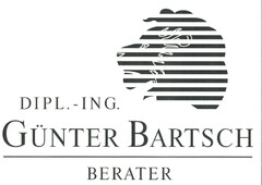 Dipl. - Ing. Günter Bartsch Berater