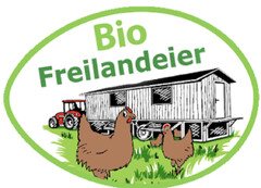 Bio Freilandeier