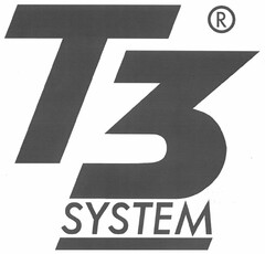 T3 SYSTEM
