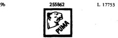 PUMA