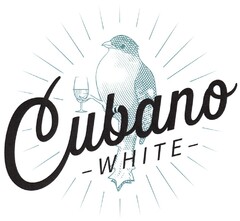 Cubano - WHITE -