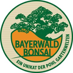 BAYERWALD BONSAI EIN UNIKAT DER POHL GARTENWELTEN