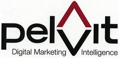 pelvit Digital Marketing Intelligence