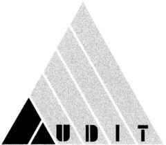 AUDIT