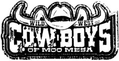 WILD WEST COWBOYS OF MOO MESA