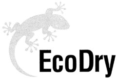 EcoDry