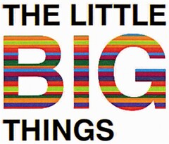 THE LITTLE BIG THINGS