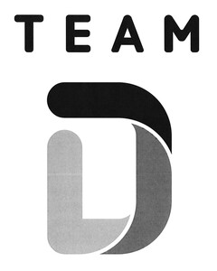 TEAM D