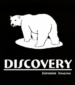 DISCOVERY SUPERIOR IMAGING