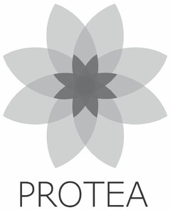 PROTEA