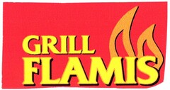 GRILL FLAMIS