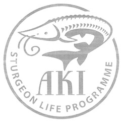 AKI STURGEON LIFE PROGRAMME