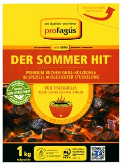 DER SOMMER HIT