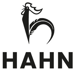 HAHN