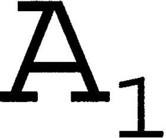 A1