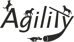 Agility