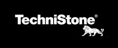 TechniStone