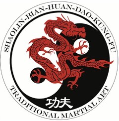 SHAOLIN-BIAN-HUAN-DAO-KUNG-FU TRADITIONAL MARTIAL ART