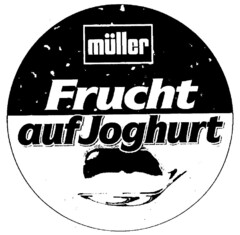 müller Frucht auf Joghurt