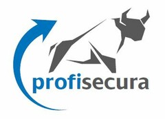 profisecura