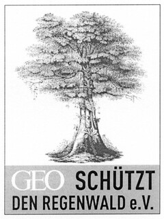 GEO SCHÜTZT DEN REGENWALD e.V.