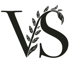 VS