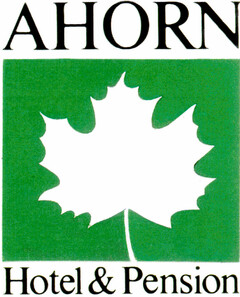 AHORN Hotel & Pension