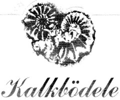 Kalkbödele