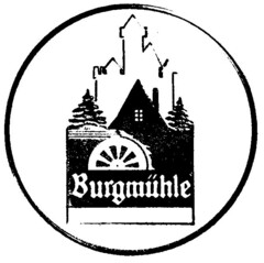 Burgmühle