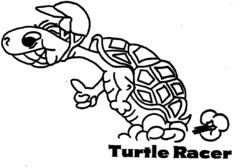 Turtle Racer