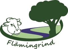 Flämingrind